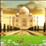 tajmahal birds live wallpaper android application logo